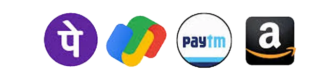 payment logo